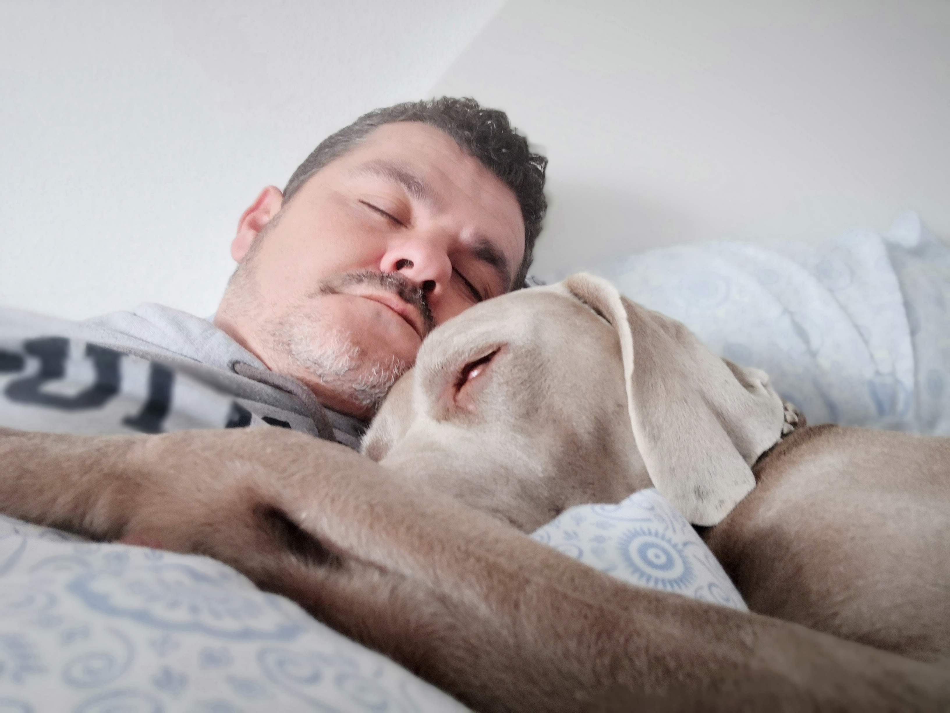 7 Habits That Will Prepare the Body for Sleep (Bedtime Behaviors That Work)