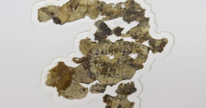 Israel's Cave of Horrors discovers a rare ancient scroll