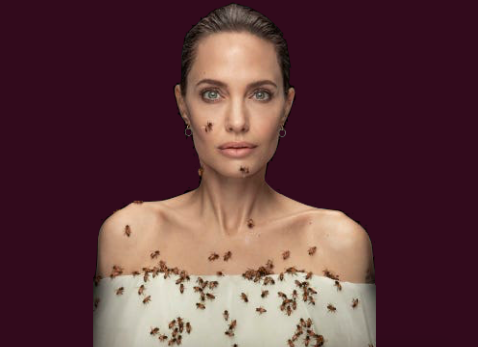 Recent pictures of Hollywood actress Angelina Jolie with her body covered with honeybees