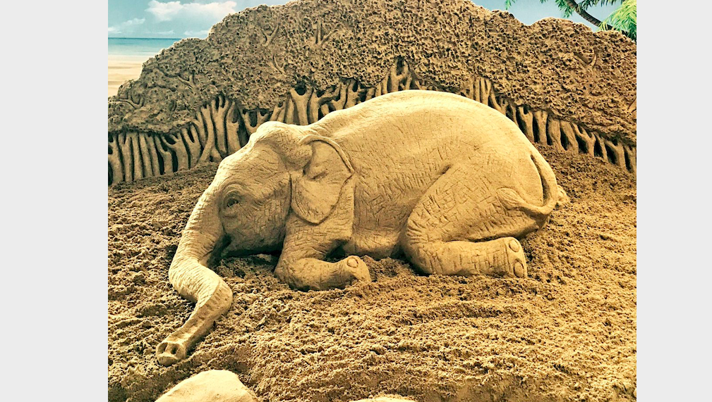 Sudarsan Pattnaik creates stunning sand art on World Environment Day