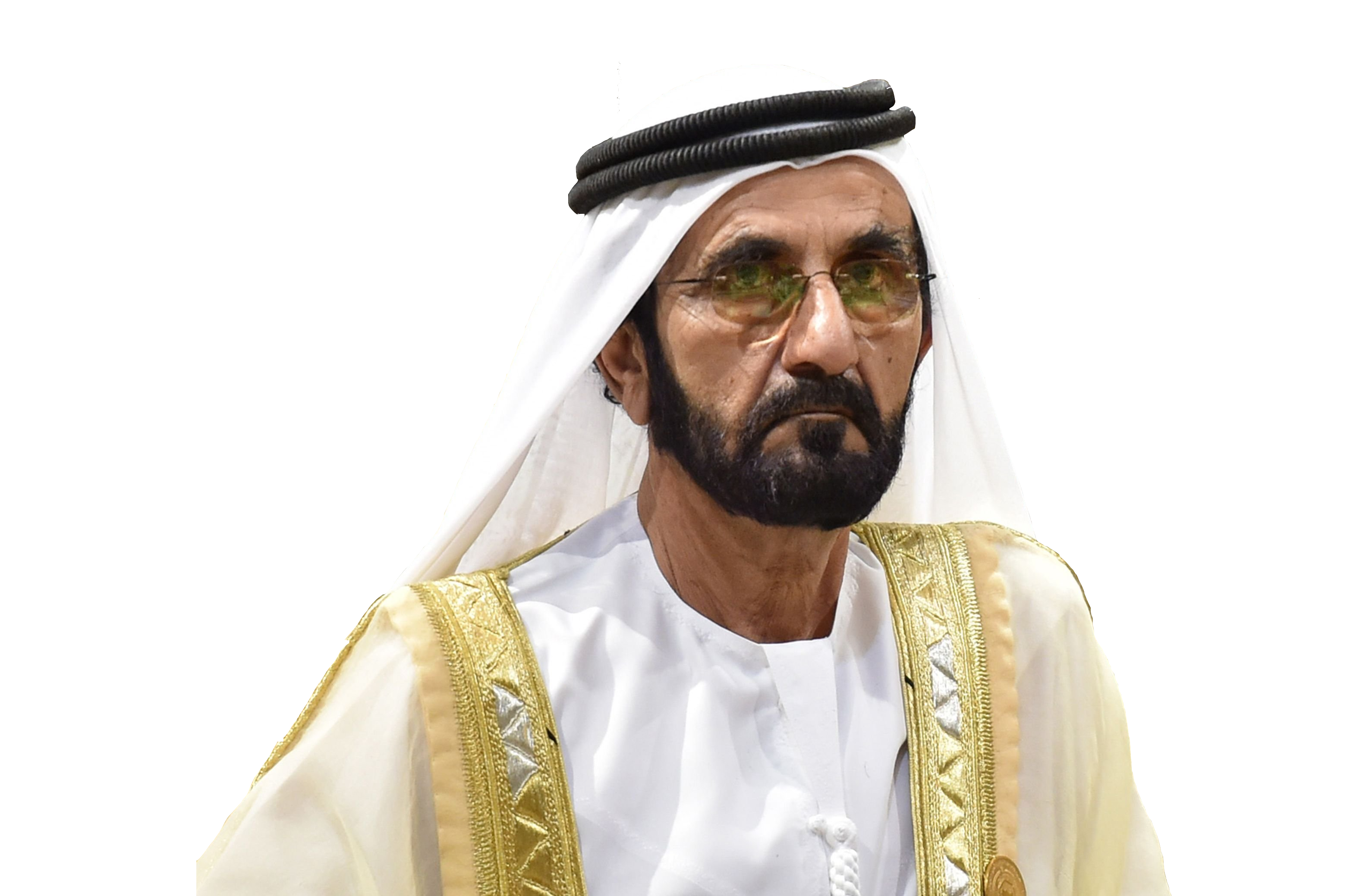 The UAE is constantly fine-tuning its economic model and strategic initiatives: VP